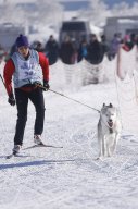 Lenk 2013